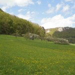 2016-04-29-autal03