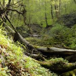 2016-04-29-autal04