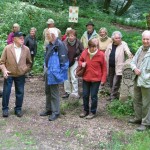 2016-05-25-kl_lautertal01