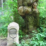 2016-05-25-kl_lautertal02